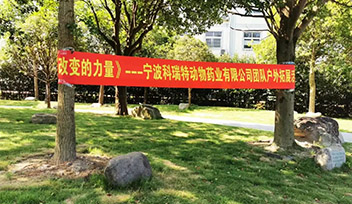 改變的力量|寧波科瑞特開(kāi)展戶(hù)外拓展活動(dòng)