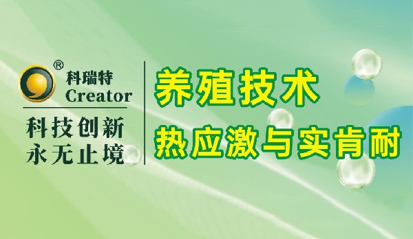 養(yǎng)殖技術(shù)|熱應(yīng)激與實肯耐